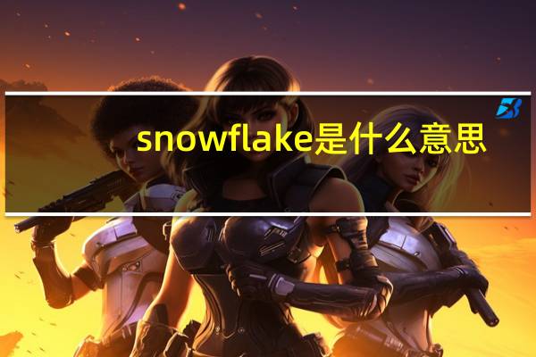 snowflake是什么意思