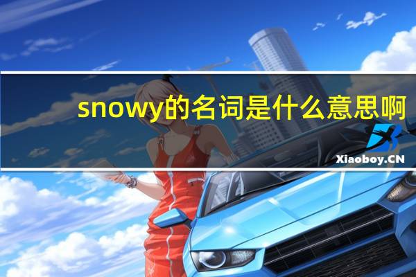 snowy的名词是什么意思啊