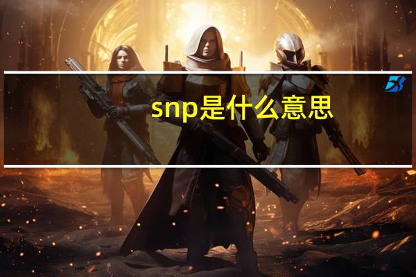 snp是什么意思