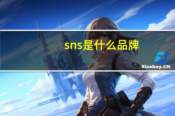 sns是什么品牌
