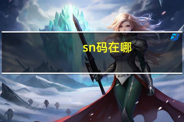 sn码在哪
