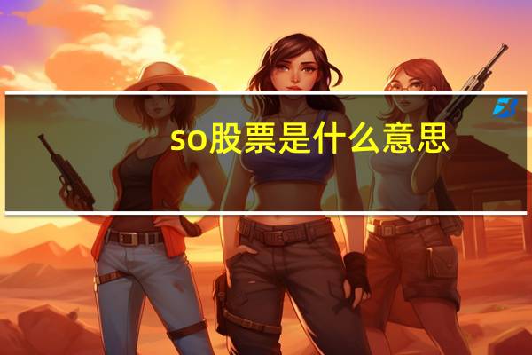 so股票是什么意思