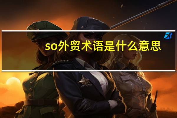 so外贸术语是什么意思