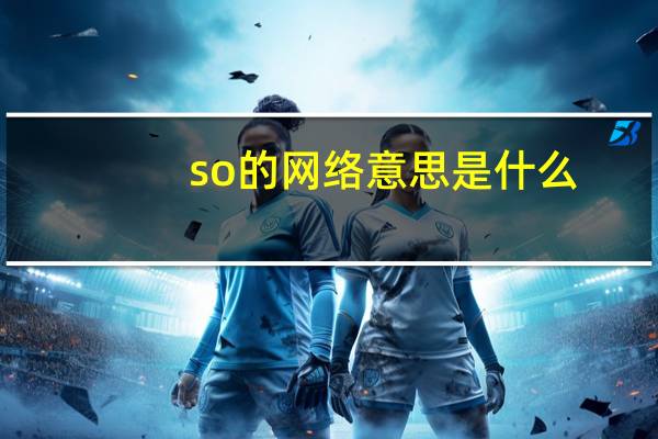so的网络意思是什么