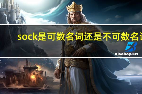 sock是可数名词还是不可数名词