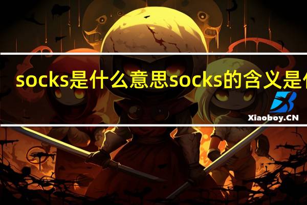 socks是什么意思 socks的含义是什么
