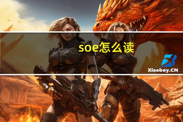 soe怎么读（SOE）