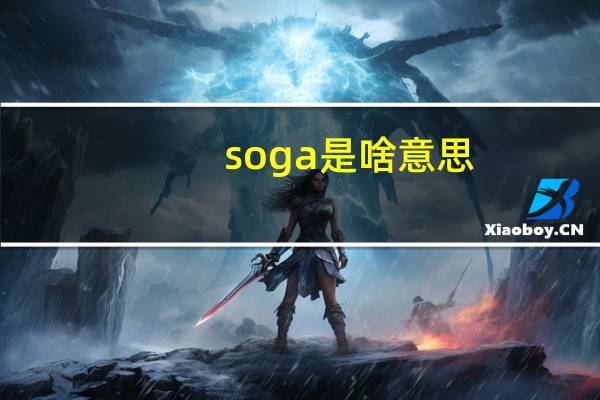 soga是啥意思（soga是什么意思）
