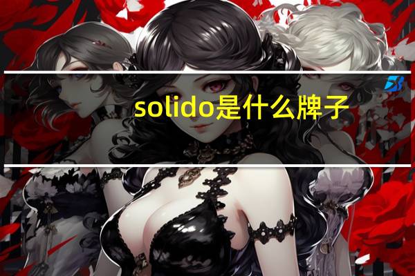 solido是什么牌子
