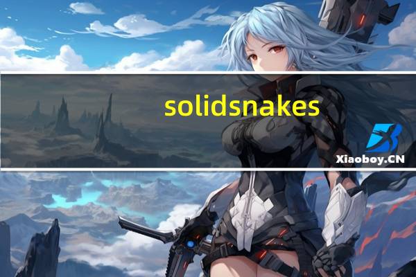 solid snakes（solid snake）