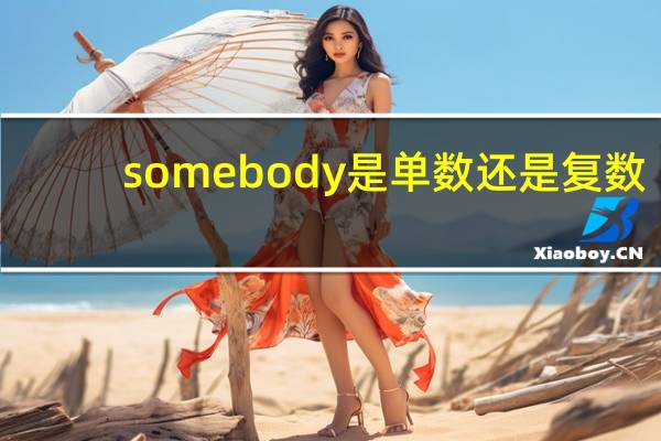 somebody是单数还是复数