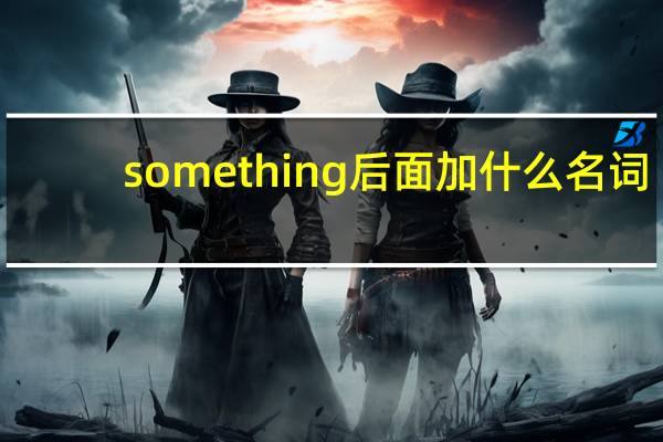 something后面加什么名词