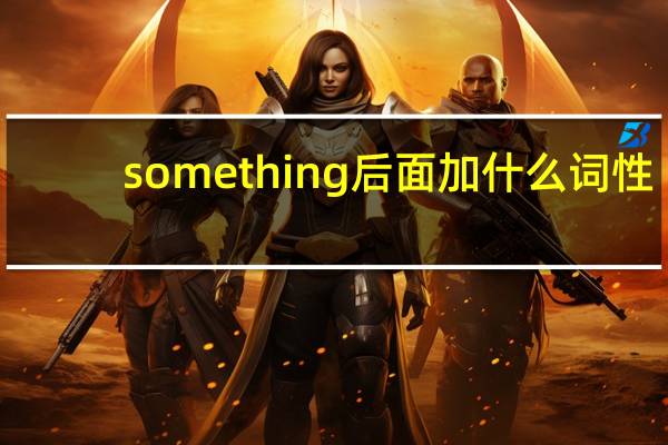 something后面加什么词性