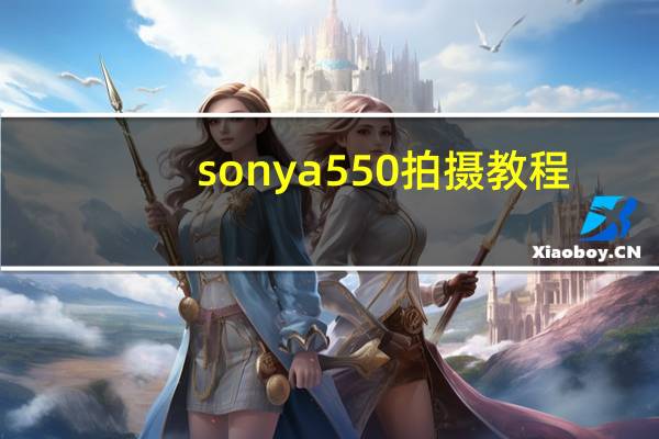 sonya550拍摄教程（sonya550）