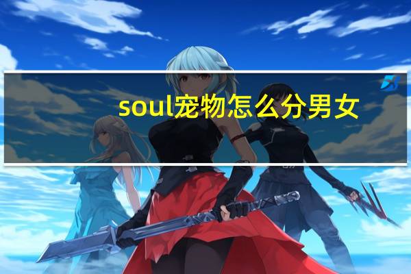 soul宠物怎么分男女