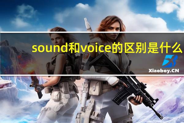 sound和voice的区别是什么?