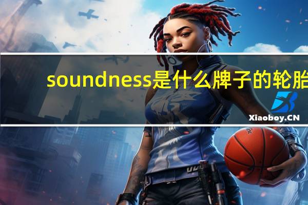 soundness是什么牌子的轮胎