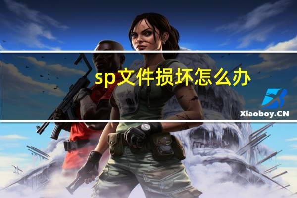 sp文件损坏怎么办（sp文）