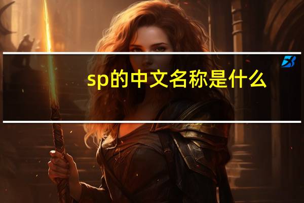 sp的中文名称是什么