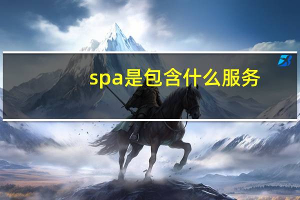 spa是包含什么服务