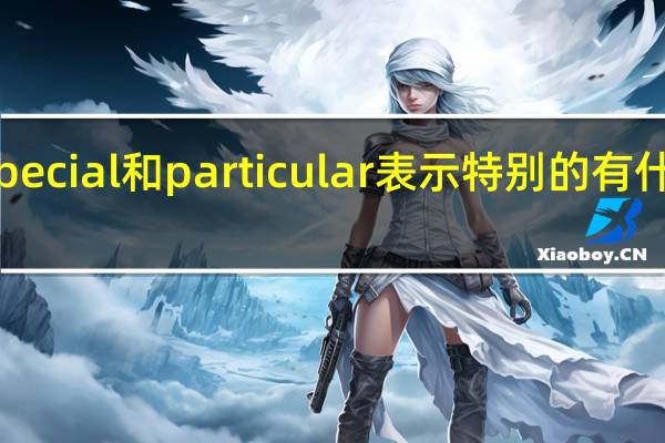 special和particular表示特别的有什么区别