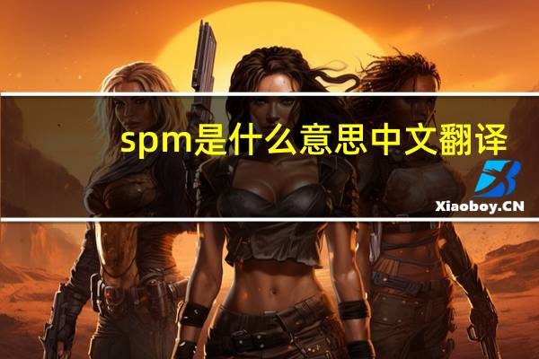 spm是什么意思中文翻译（spm是什么意思）