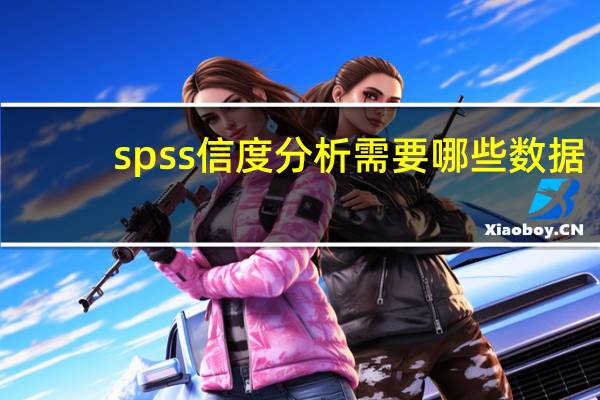 spss信度分析需要哪些数据