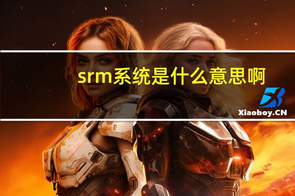 srm系统是什么意思啊