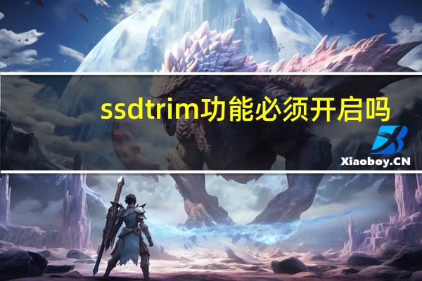 ssdtrim功能必须开启吗(ssdtrim)