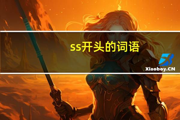 ss开头的词语