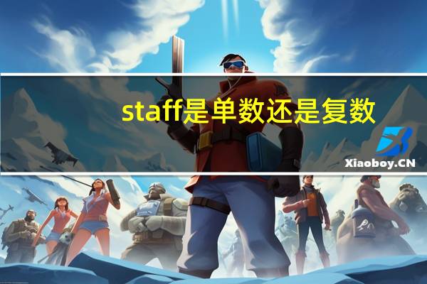 staff是单数还是复数