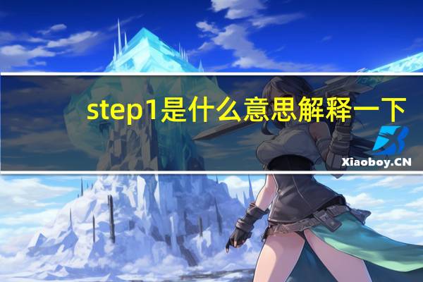 step1是什么意思解释一下
