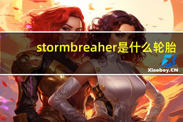 stormbreaher是什么轮胎