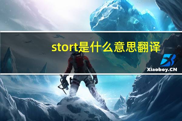 stort是什么意思翻译