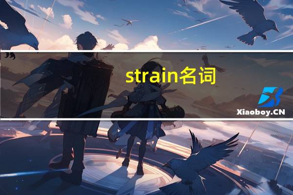 strain名词
