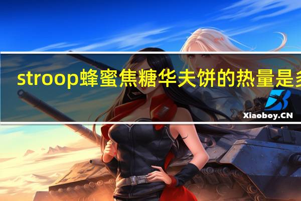 stroop 蜂蜜焦糖华夫饼的热量是多少