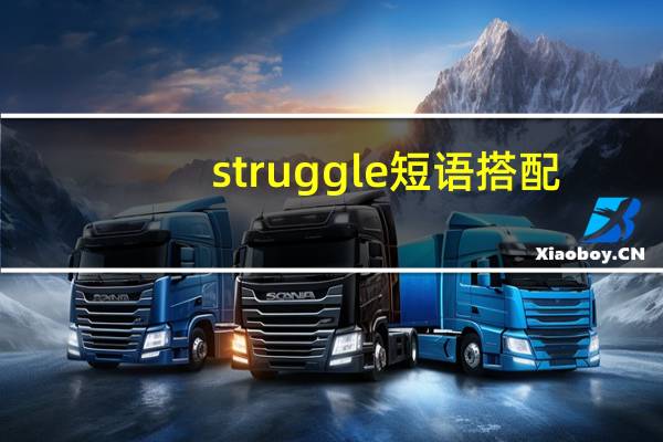 struggle短语搭配