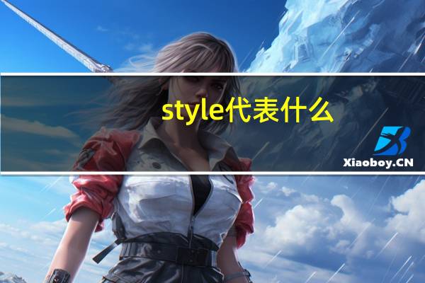 style代表什么