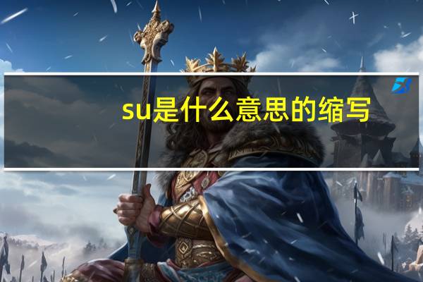 su是什么意思的缩写