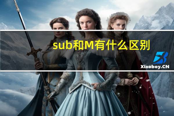 sub和M有什么区别
