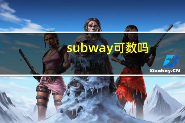 subway可数吗