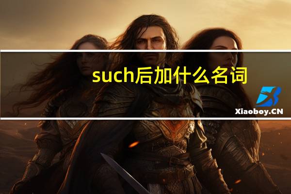such后加什么名词