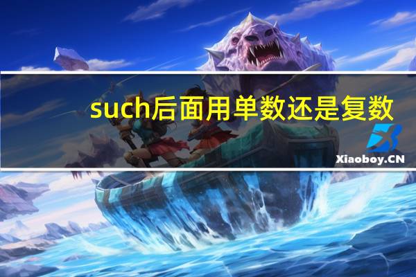 such后面用单数还是复数