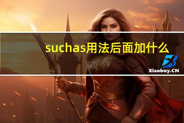 such as用法后面加什么