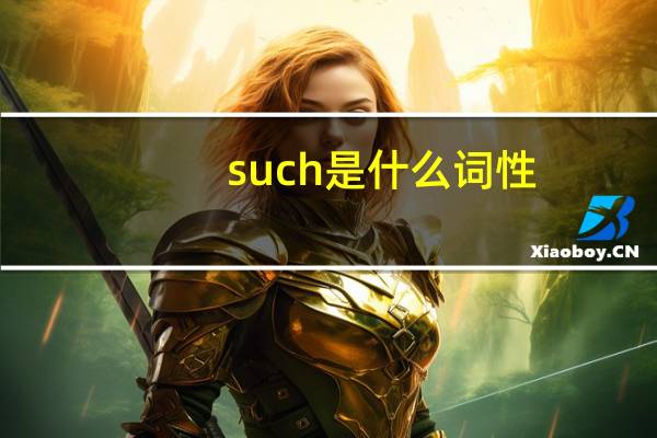 such是什么词性