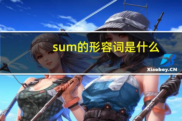 sum的形容词是什么