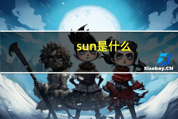 sun是什么