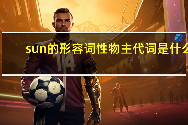 sun的形容词性物主代词是什么