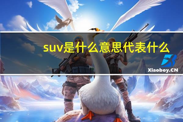suv是什么意思代表什么
