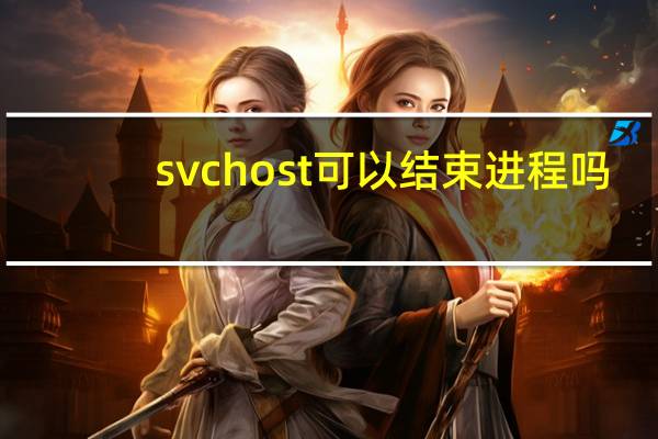 svchost可以结束进程吗（svchost）